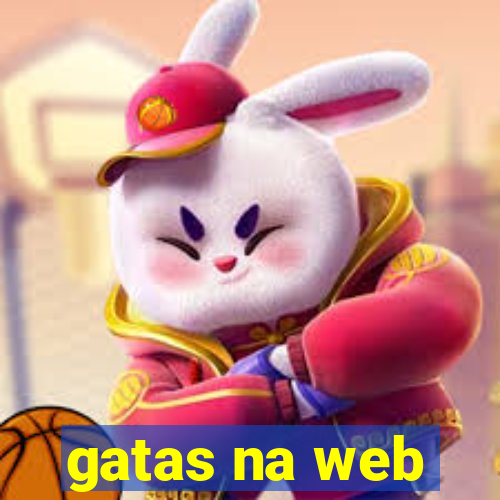 gatas na web